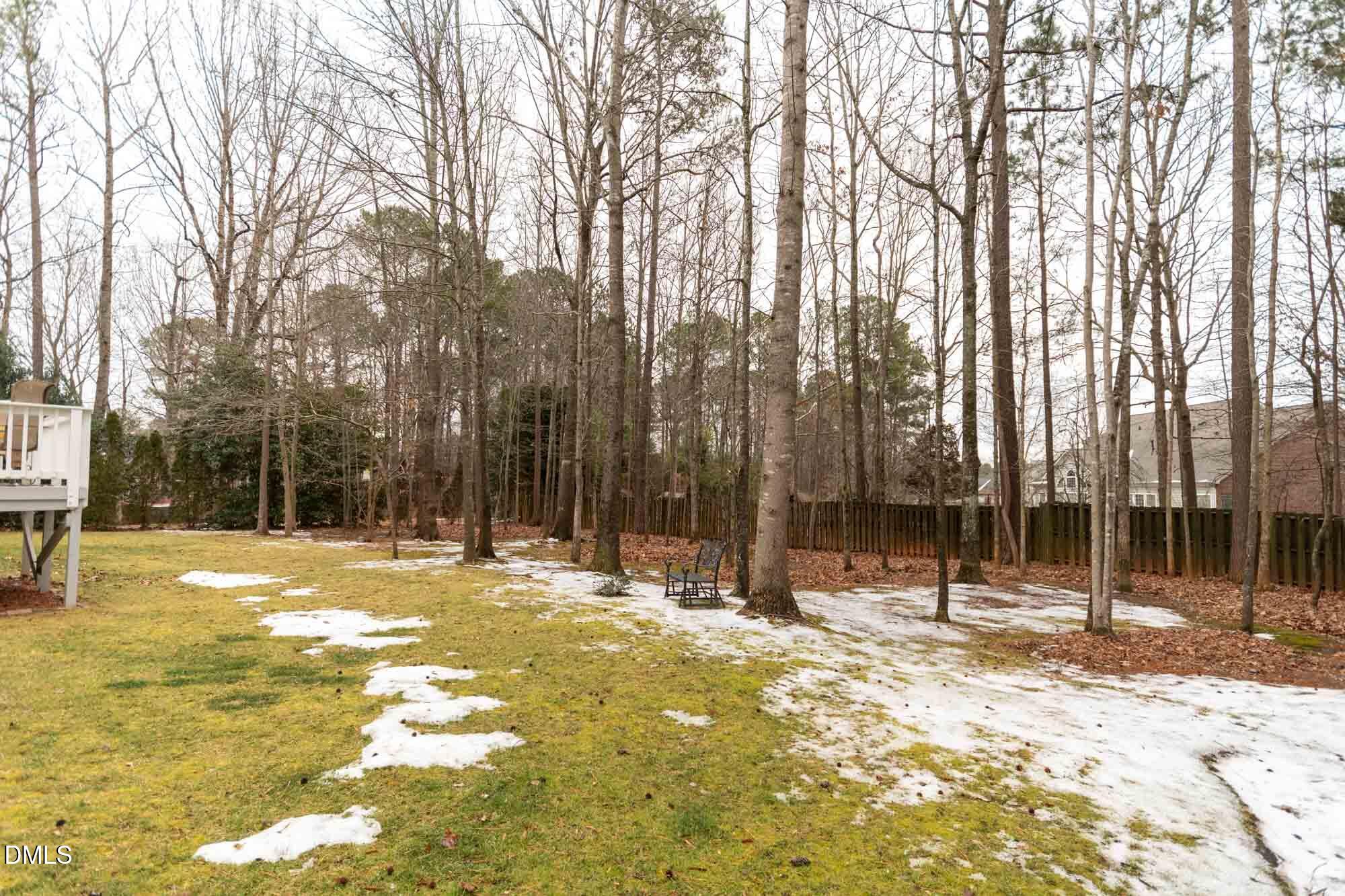 4412 Fairview Ridge Lane Apex, NC 27539 - Photo 44 of 46 DSC_3996-HDR