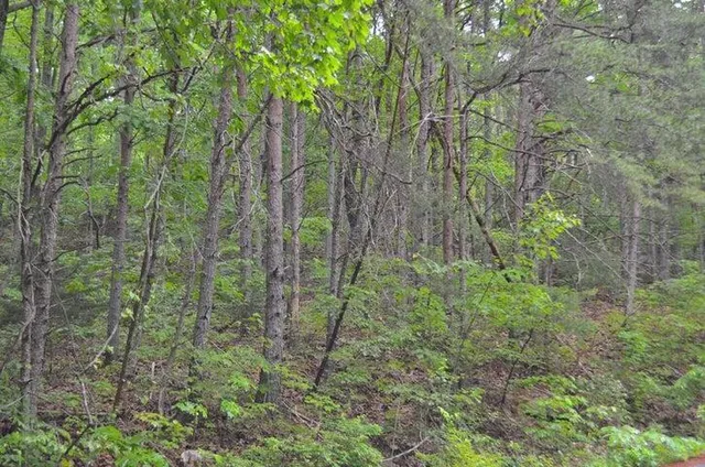 $70,000 | 8805 Terrace Falls Drive, Soddy Daisy, TN 37379