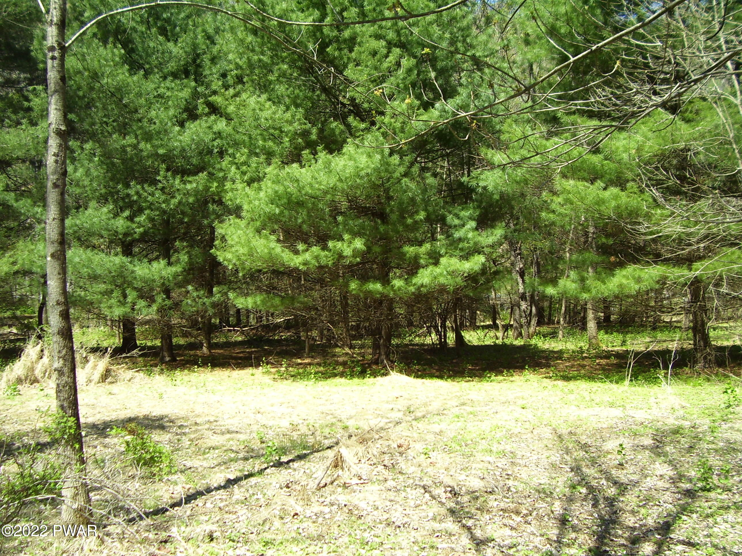 5 St Vincents Point Road Lackawaxen, PA 18435 - Photo 7 of 14