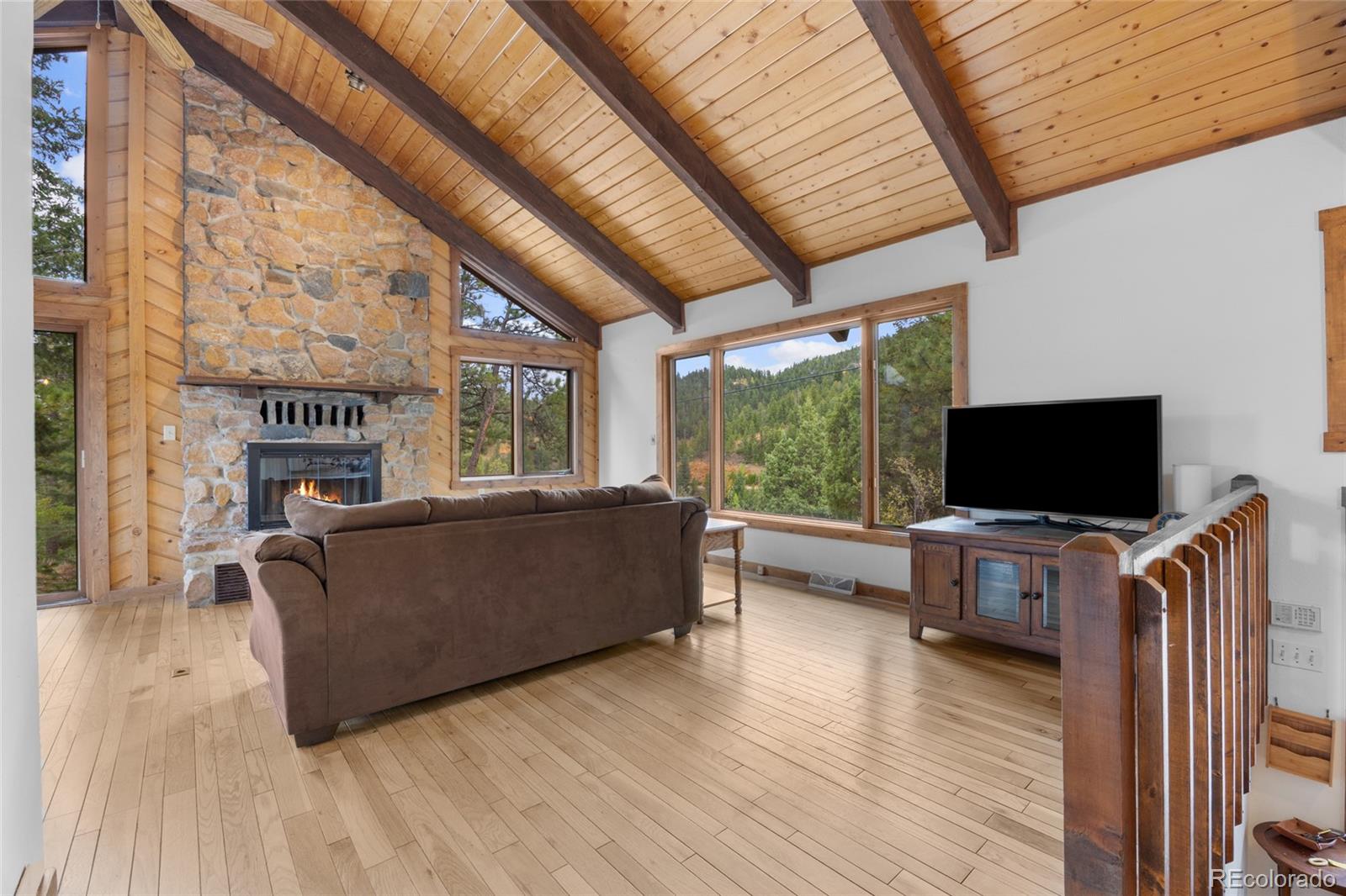 730 Clear Creek Road Evergreen, CO 80439 - Photo 8 of 44 a living room with furniture and a flat screen tv