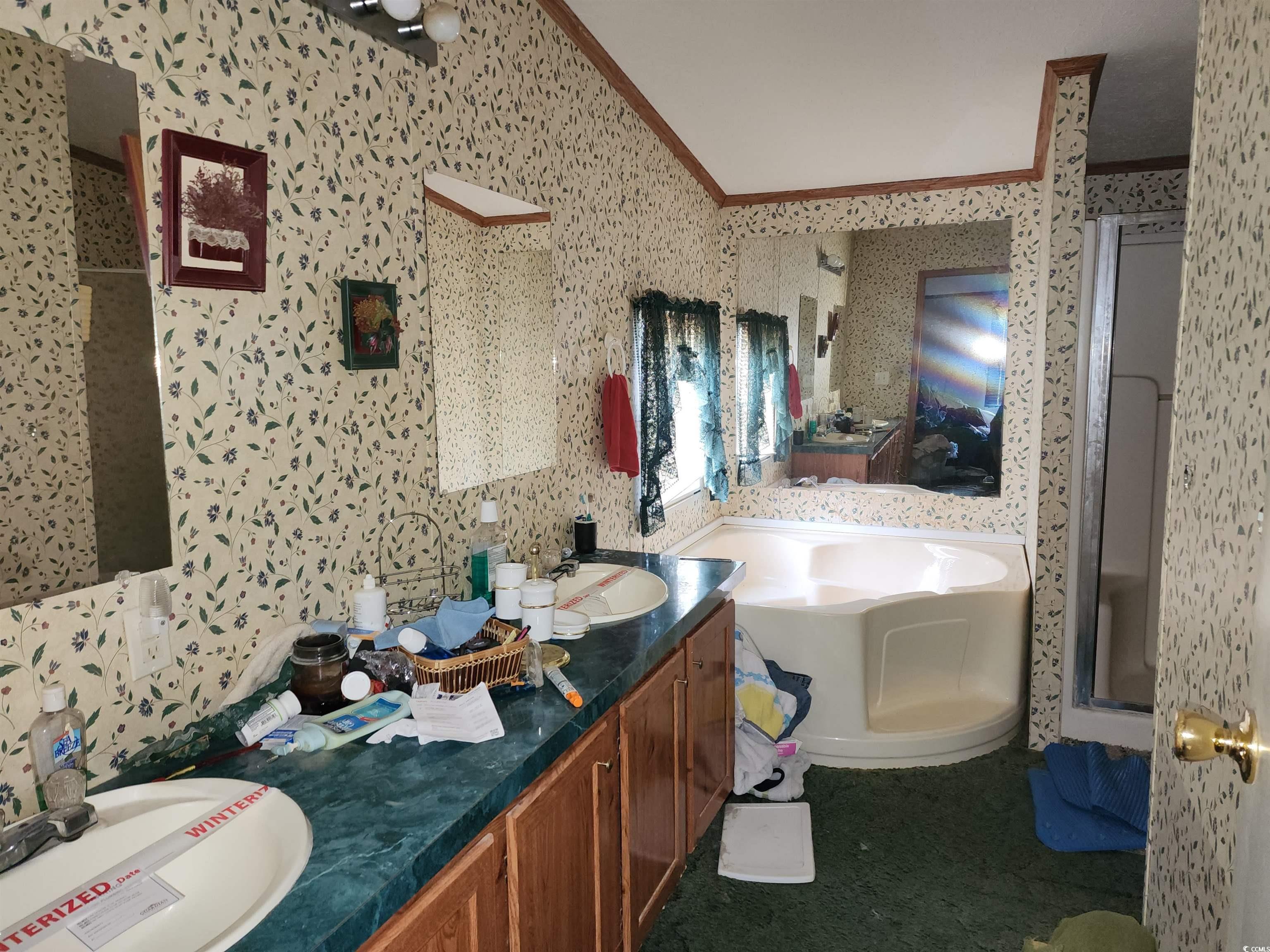 5160 Spring Street Loris, SC 29569 - Photo 15 of 18 Bathroom with vanity, crown molding, and plus walk