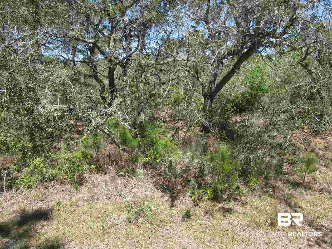 Zeanah Road Gulf Shores, AL 36542 - Photo 11 of 15