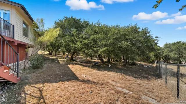 a view of a backyard with a tree