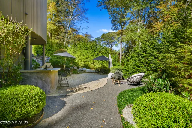 a view of a yard with plants and a bench