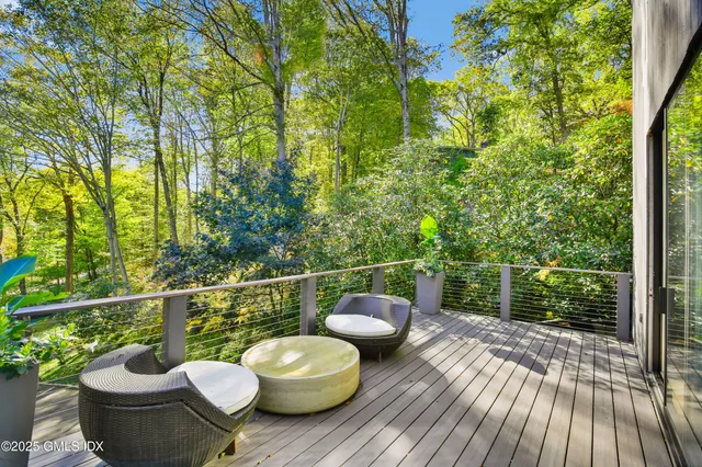 a view of a deck with wooden floor and a potted plant