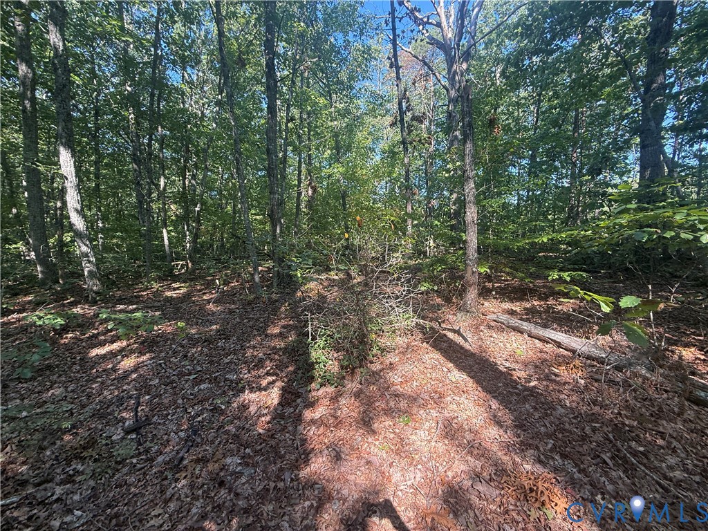 Lot 5 Dixie Hill Road Dillwyn, VA 23936 - Photo 3 of 5 Gallery Image 3