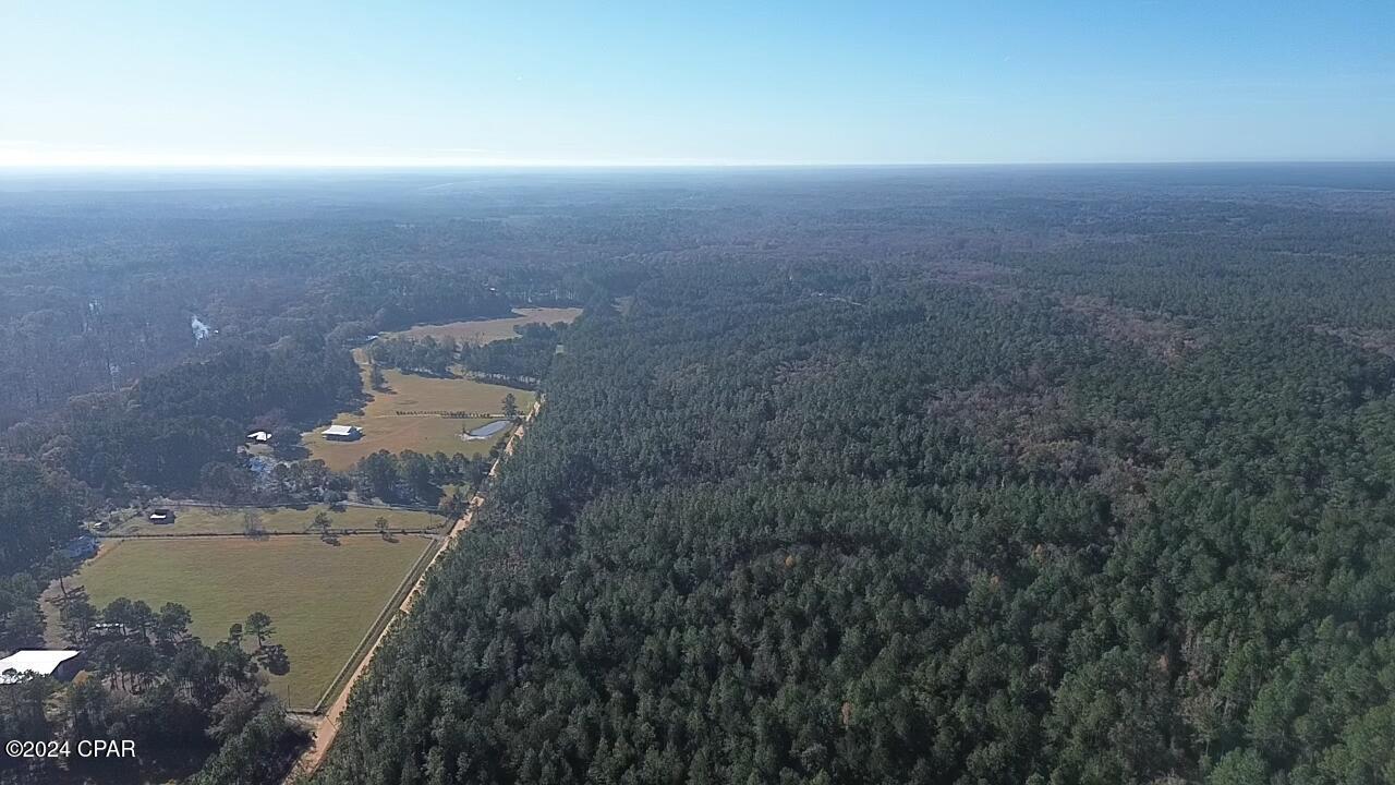 3748 Skipper Road Vernon, FL 32462 - Photo 29 of 30