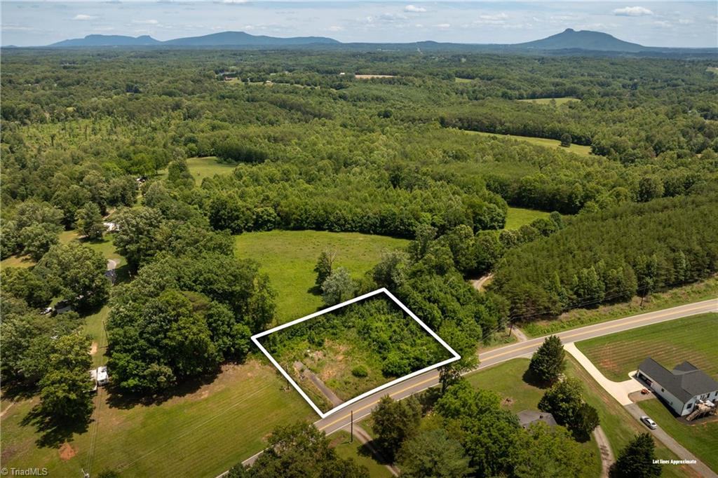 309 Ararat Longhill Road Pilot Mountain, NC 27041 - Photo 5 of 34