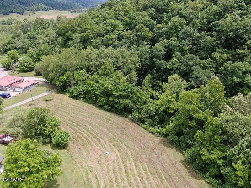 290 Snyder Ridge Road Rose Hill, VA 24281 - Photo 16 of 48 bbe717e9-a432-41ad-a7ea-84bd4e7704ee