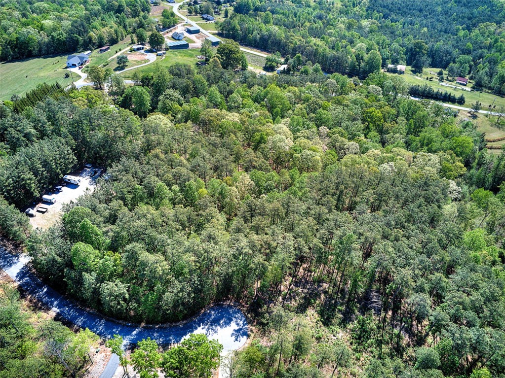 Lot E-31 Pine Ridge Way Salem, SC 29676 - Photo 12 of 16 This verdant landscape showcases a tranquil, wooded setting ideal for a secluded retreat.