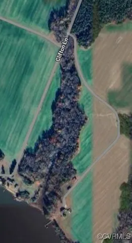 a view of a pathway of a garden