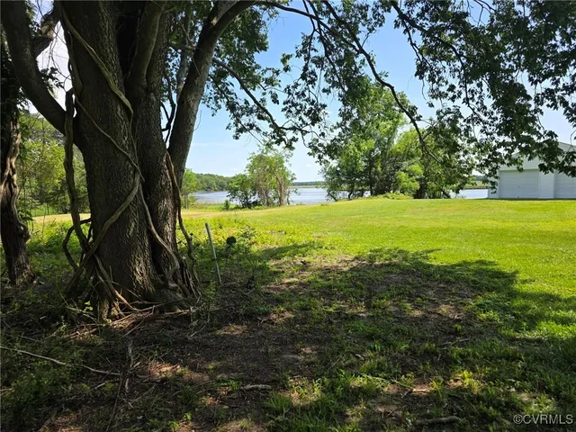 a view of a field with an trees