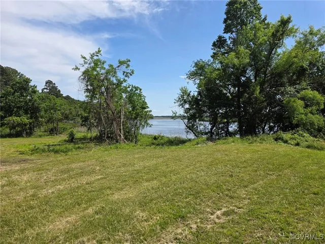a view of a field with plants and trees