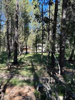 17145 Pasadena Road Bend, OR 97707 - Photo 4 of 5 IMG_1908.HEIC