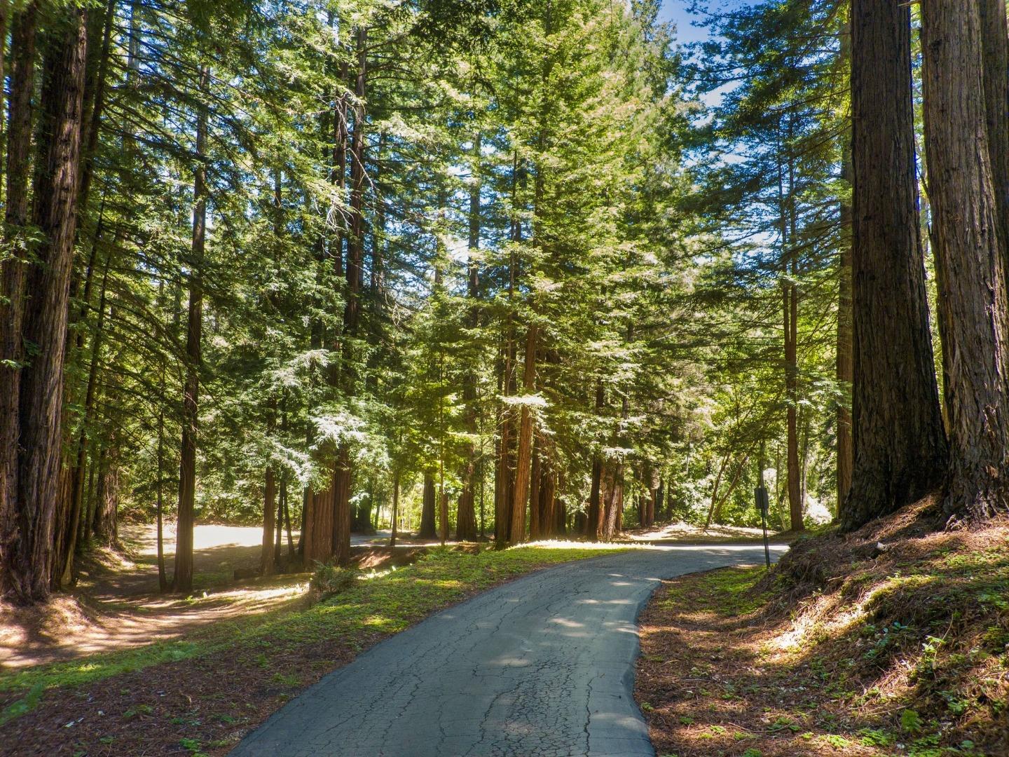 2800 Lockhart Gulch Road Scotts Valley, CA 95066 - Photo 131 of 142