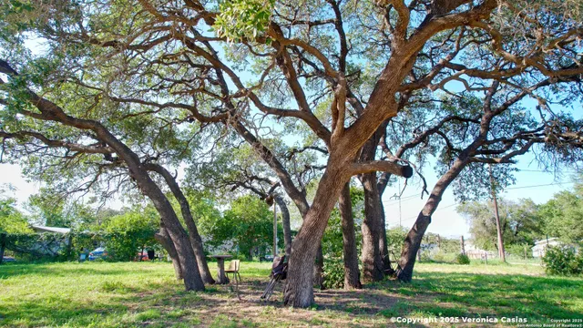 a view of yard with green space