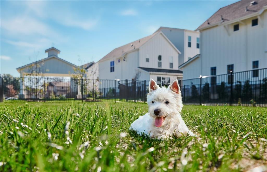 2624 Metcalfe Road, Unit 8 Austin, TX 78741 - Photo 31 of 32