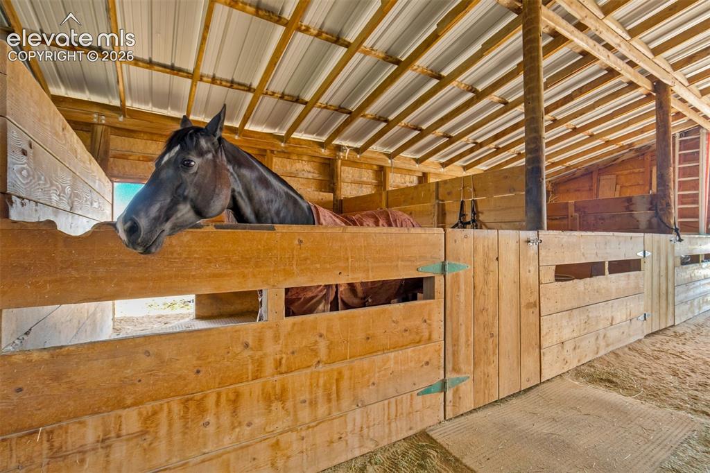 22120 McDaniels Road Calhan, CO 80808 - Photo 29 of 49