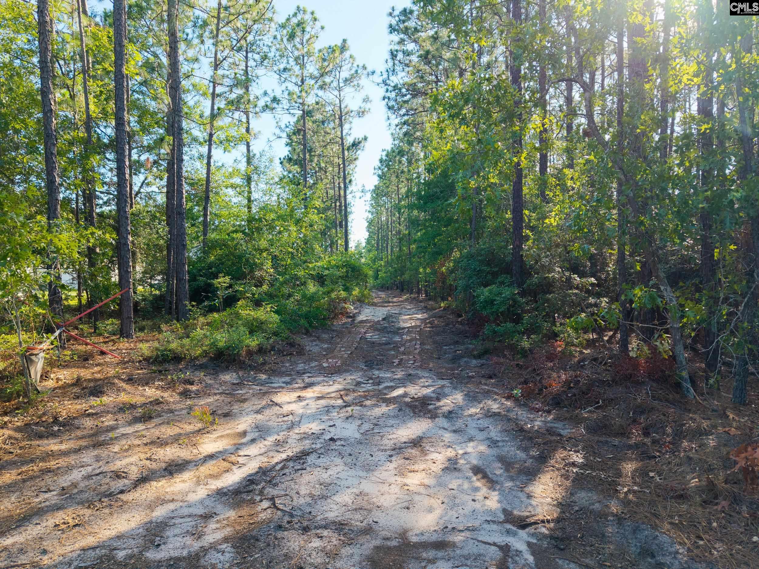 0 Pine Plain Road Gaston, SC 29053 - Photo 7 of 7