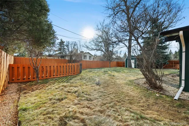 a view of a yard with trees