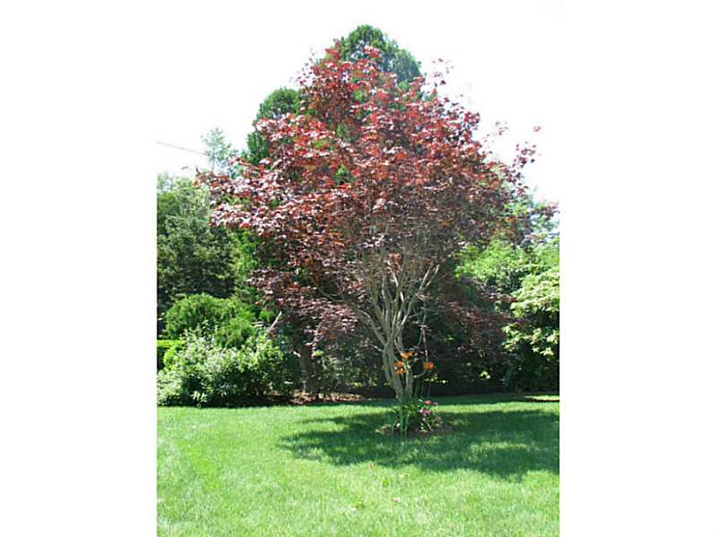 14 What Cheer Road Narragansett, RI 02882 - Photo 24 of 25 Yard/Garden.