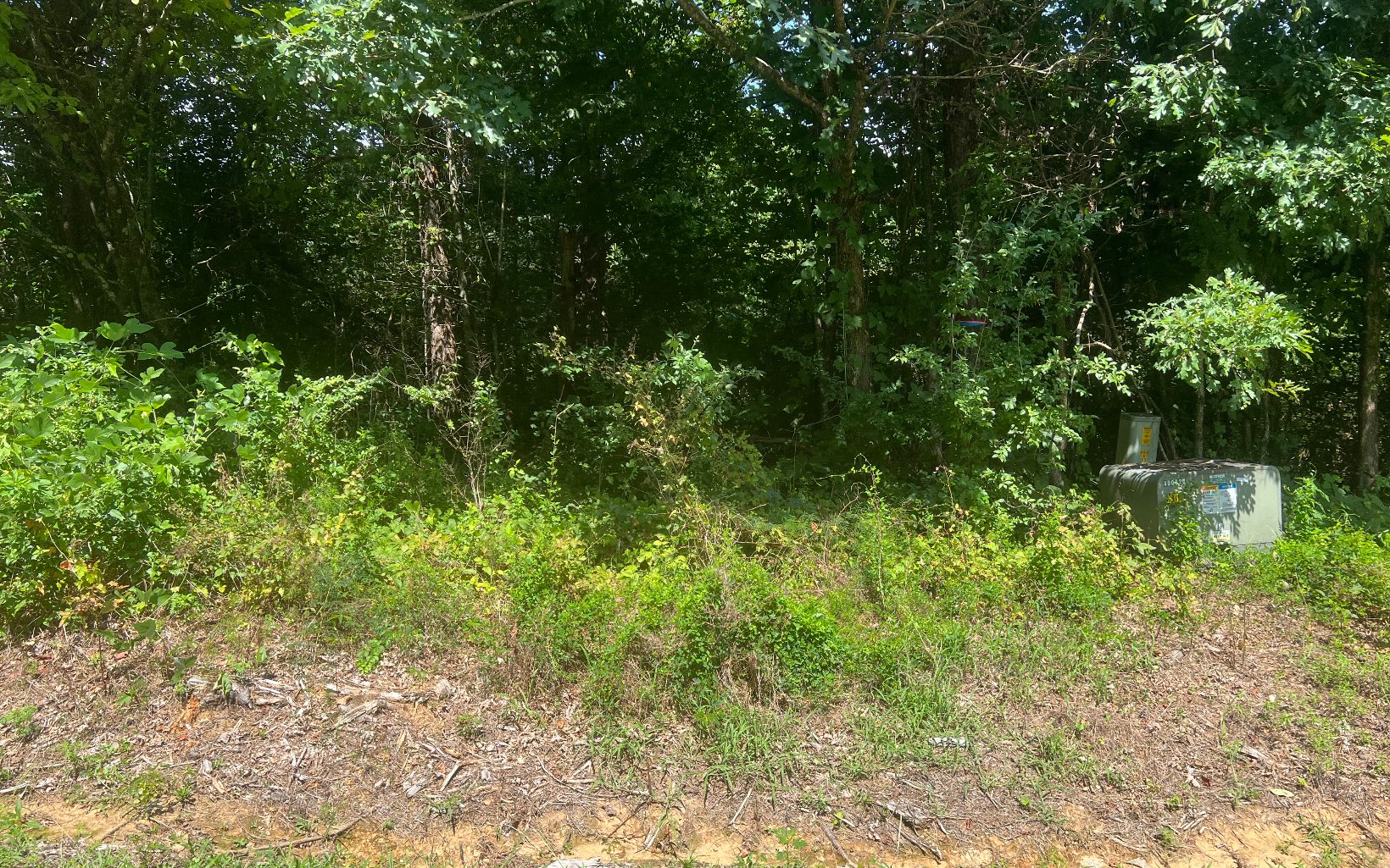 Lot 8 Old Orchard Road Ellijay, GA 30536 - Photo 1 of 8 Main View