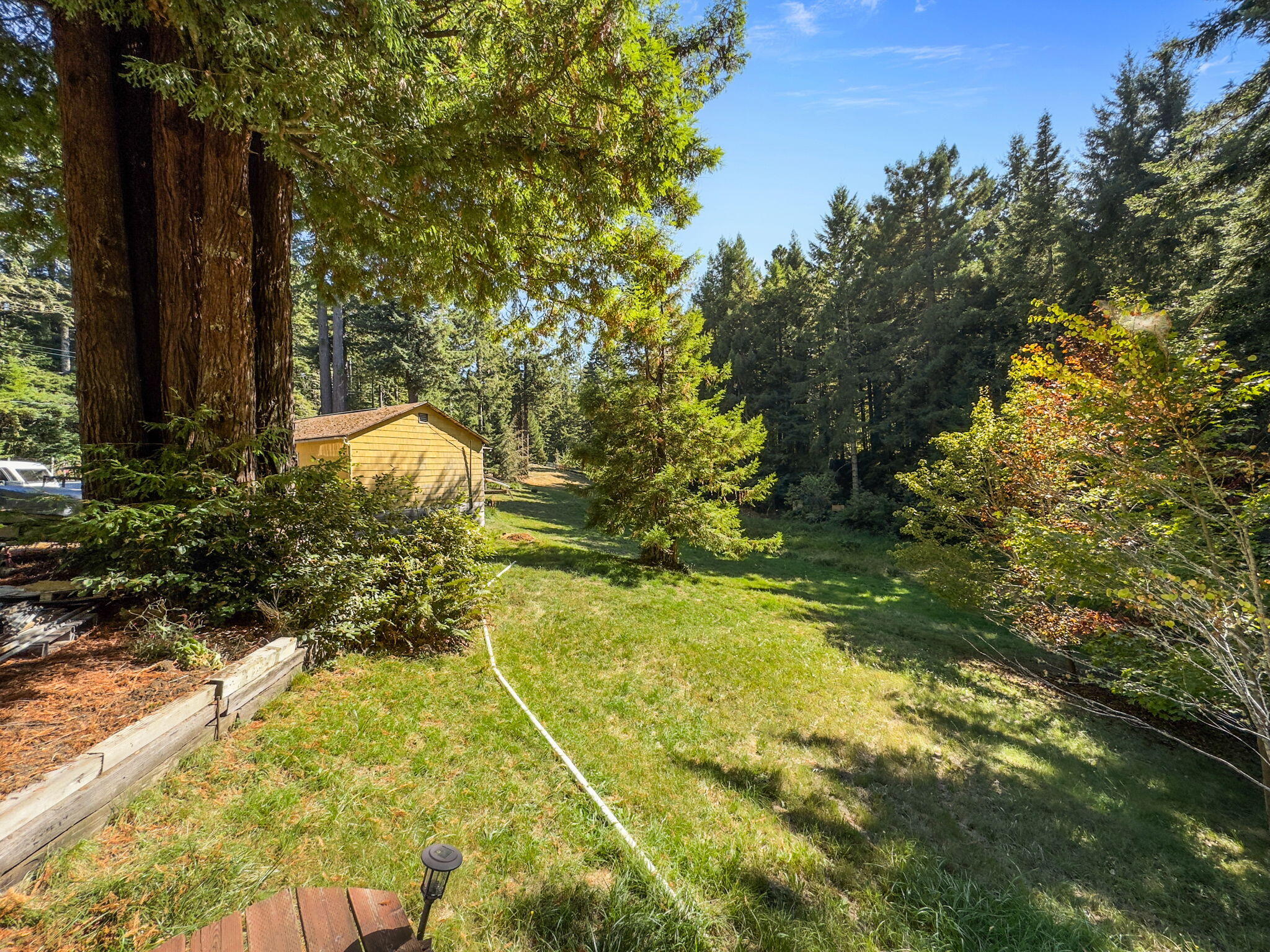 7097 Fickle Hill Road Arcata, CA 95521 - Photo 11 of 43