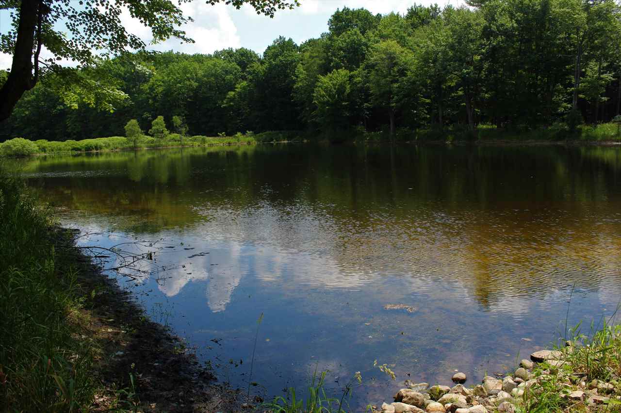 3943 West Main Road Road Stanton, MI 48888 - Photo 8 of 47