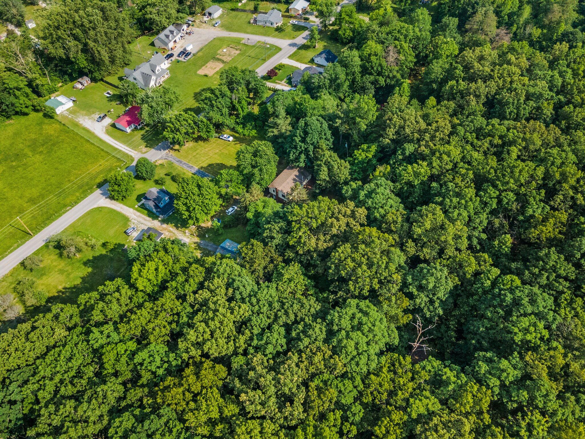 2807 Scaffold Cane Road Berea, KY 40403 - Photo 33 of 47 3-web-or-mls-DJI_0121