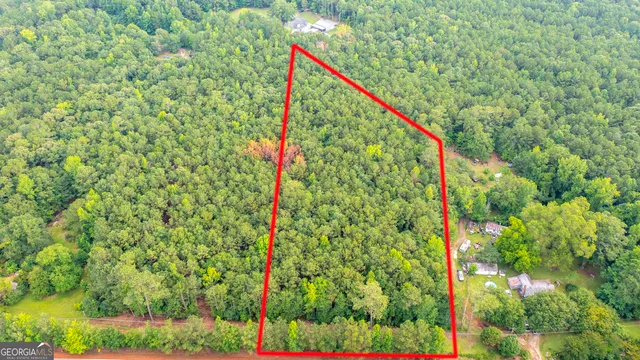 a close up of a plant in a yard