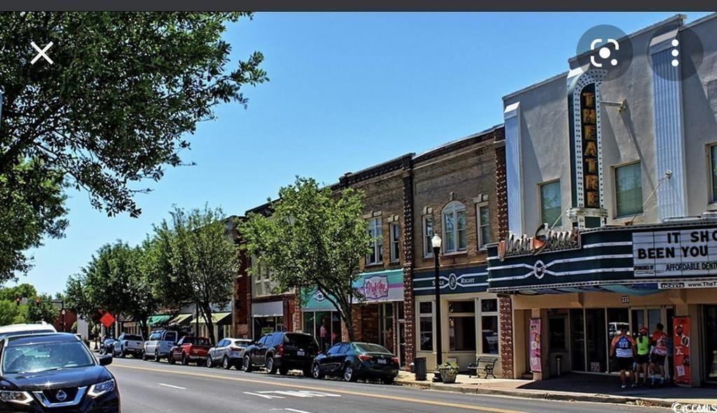 337 Palmetto Sand Loop Conway, SC 29527 - Photo 13 of 35