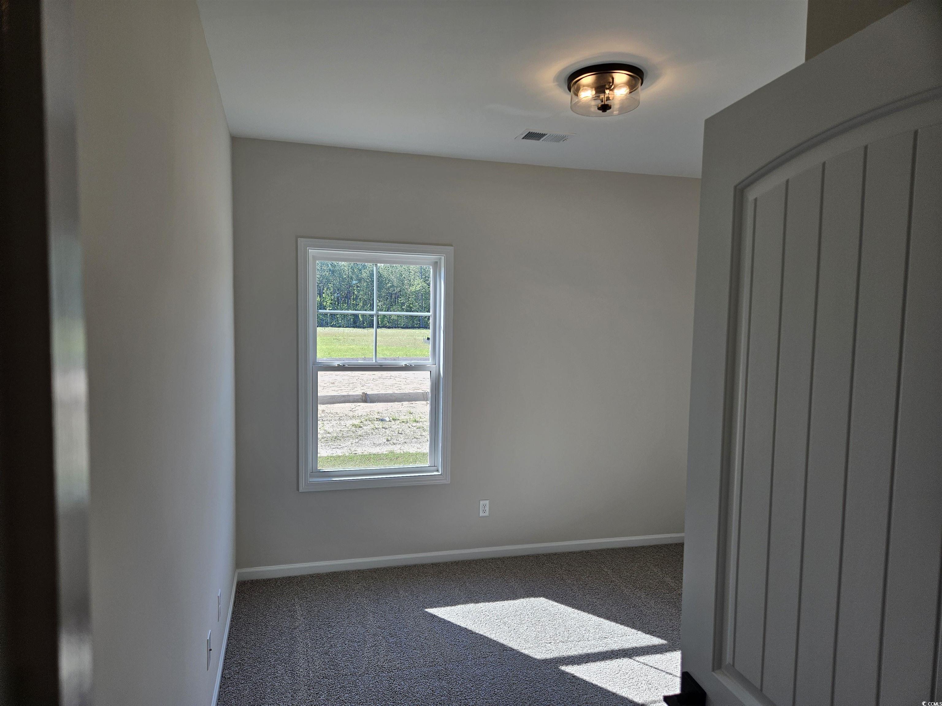 337 Palmetto Sand Loop Conway, SC 29527 - Photo 34 of 35