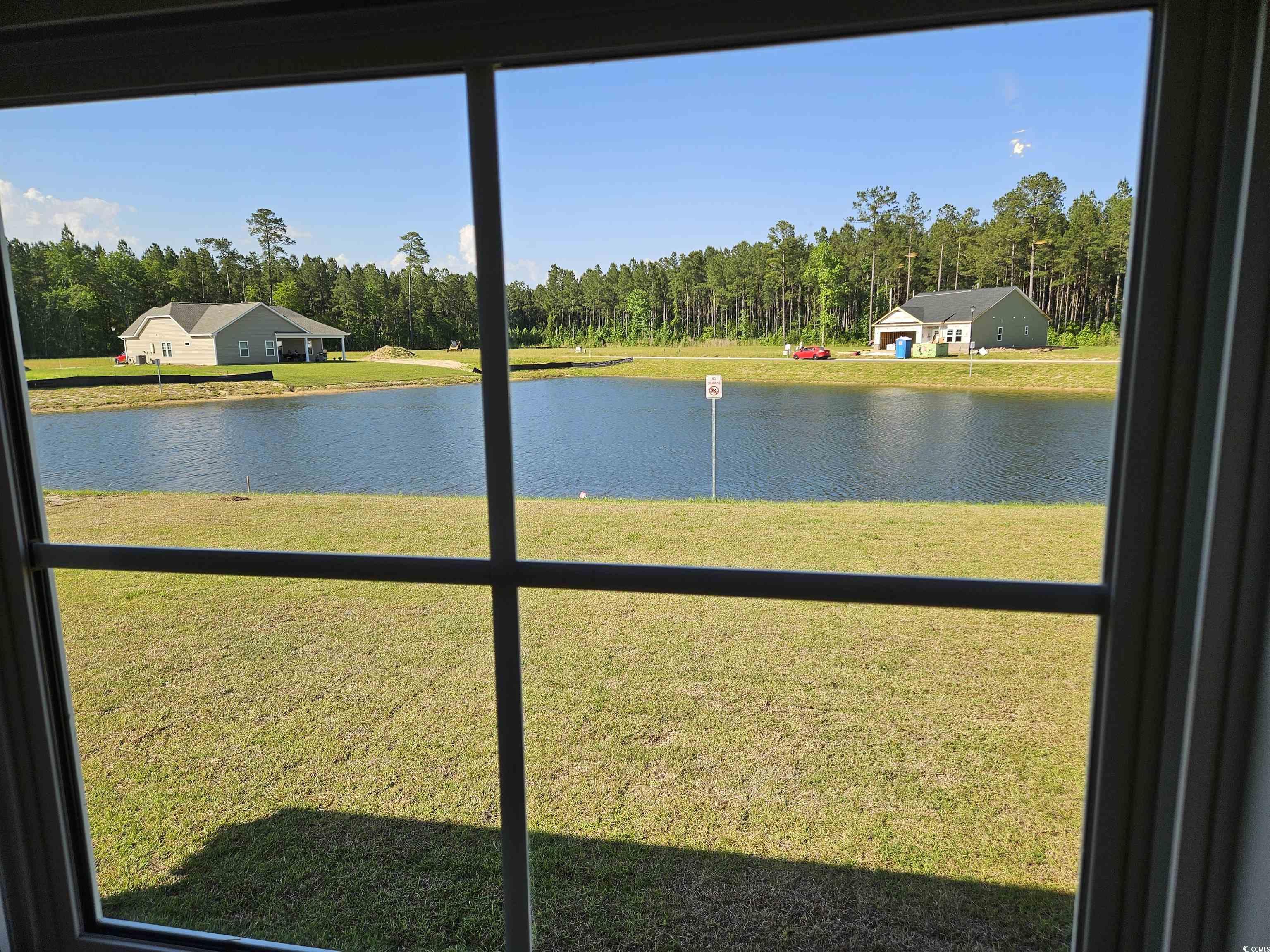 337 Palmetto Sand Loop Conway, SC 29527 - Photo 6 of 35