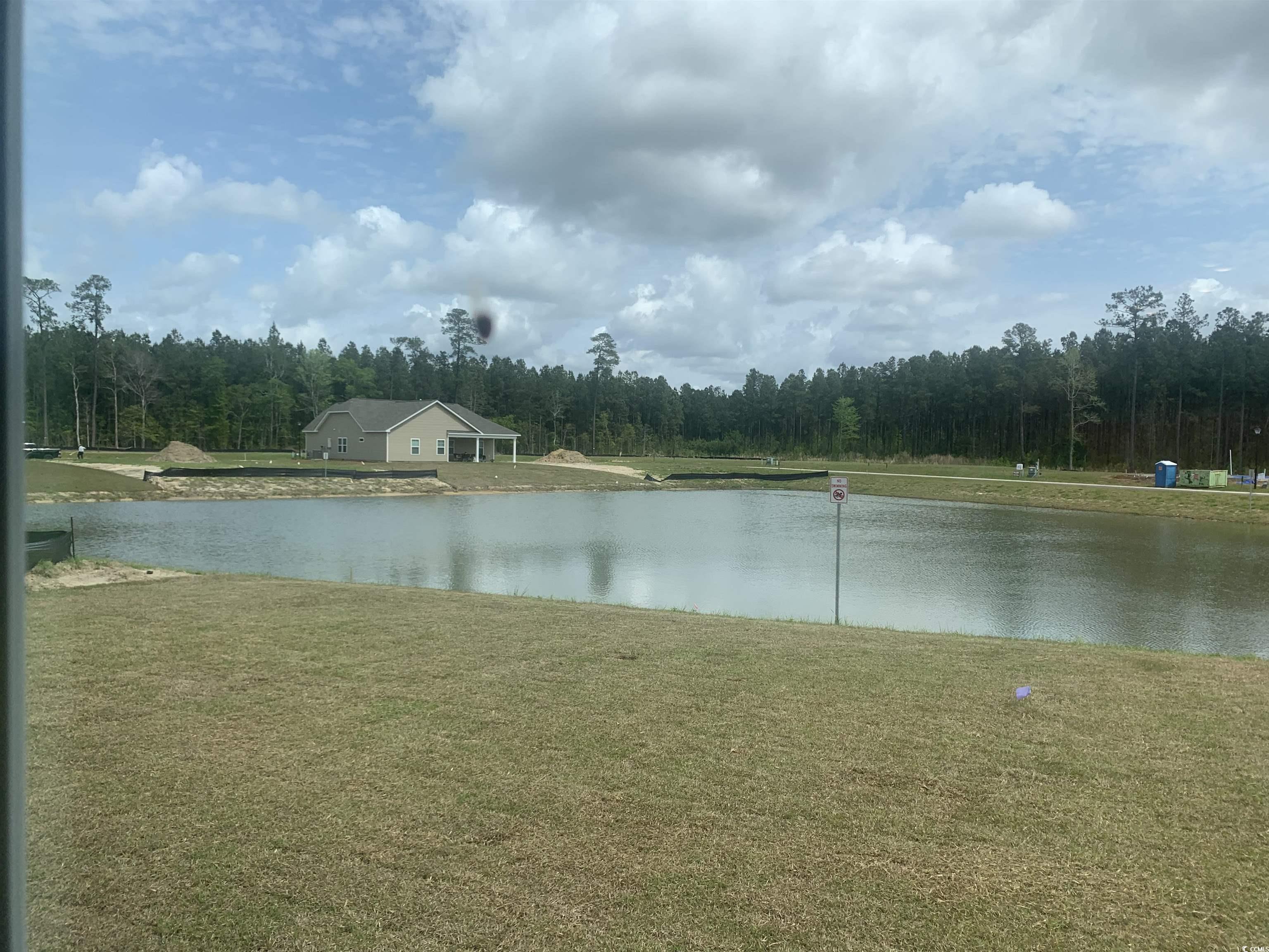 337 Palmetto Sand Loop Conway, SC 29527 - Photo 7 of 35