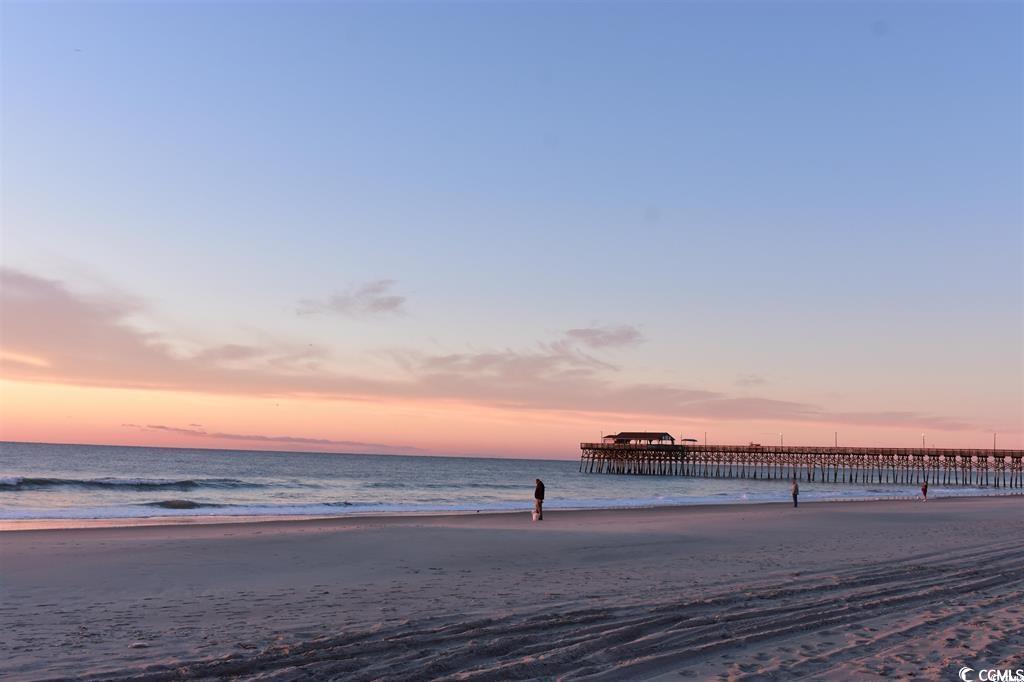 337 Palmetto Sand Loop Conway, SC 29527 - Photo 9 of 35