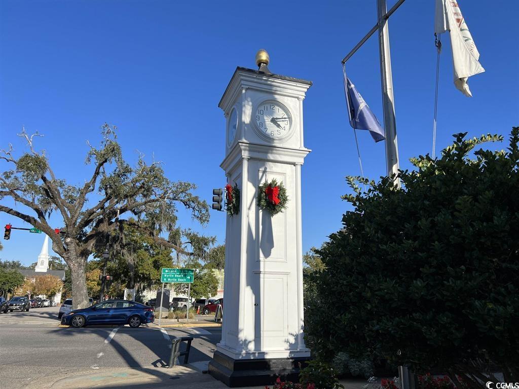 337 Palmetto Sand Loop Conway, SC 29527 - Photo 10 of 35