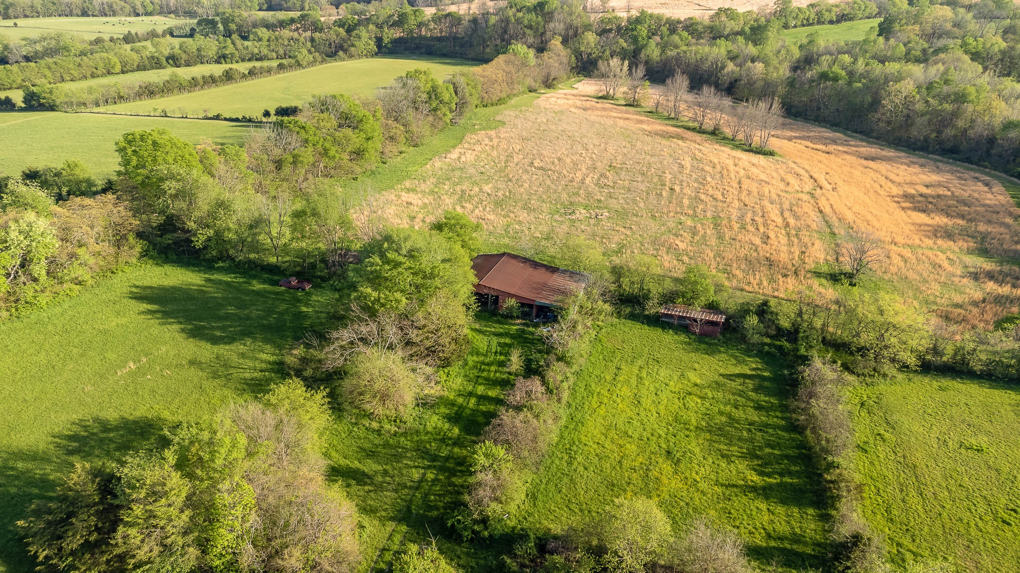 1355 West Webb Road Eagleville, TN 37060 - Photo 2 of 24 Gallery Image 2