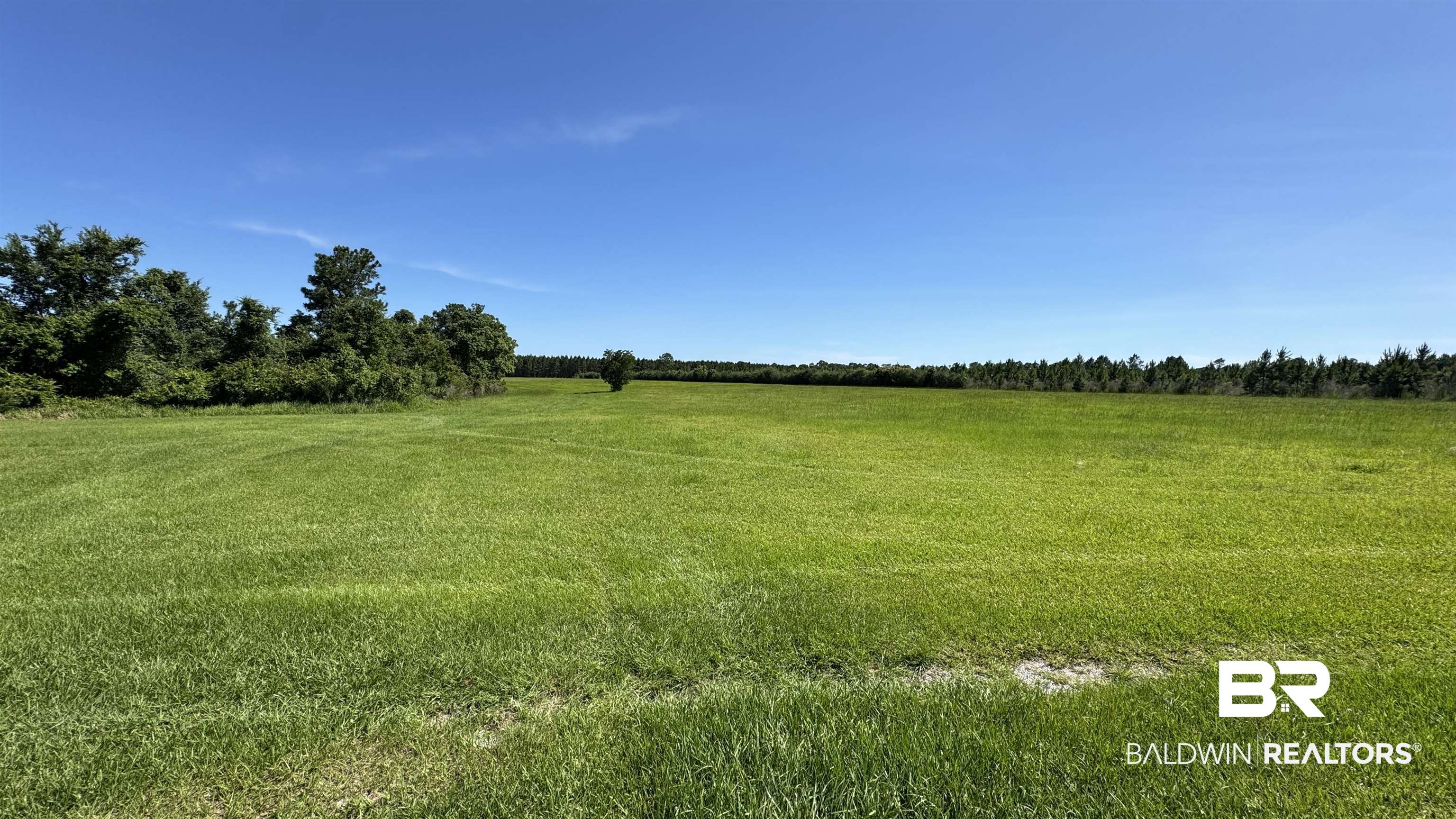 0 County Road 87 Elberta, AL 36530 - Photo 44 of 46