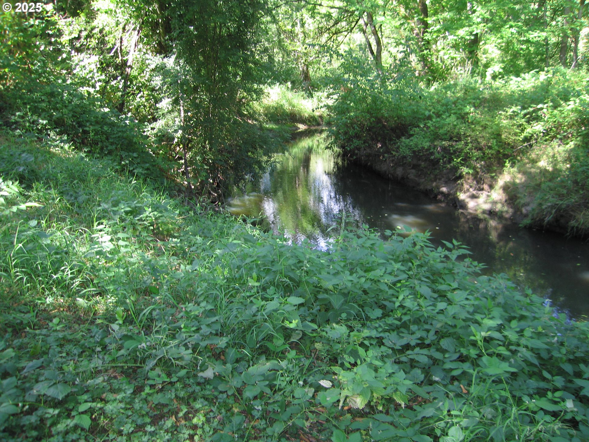 18795 Southwest Vista Street Beaverton, OR 97003 - Photo 24 of 31 a backyard of a house with lots of green space and trees in the back