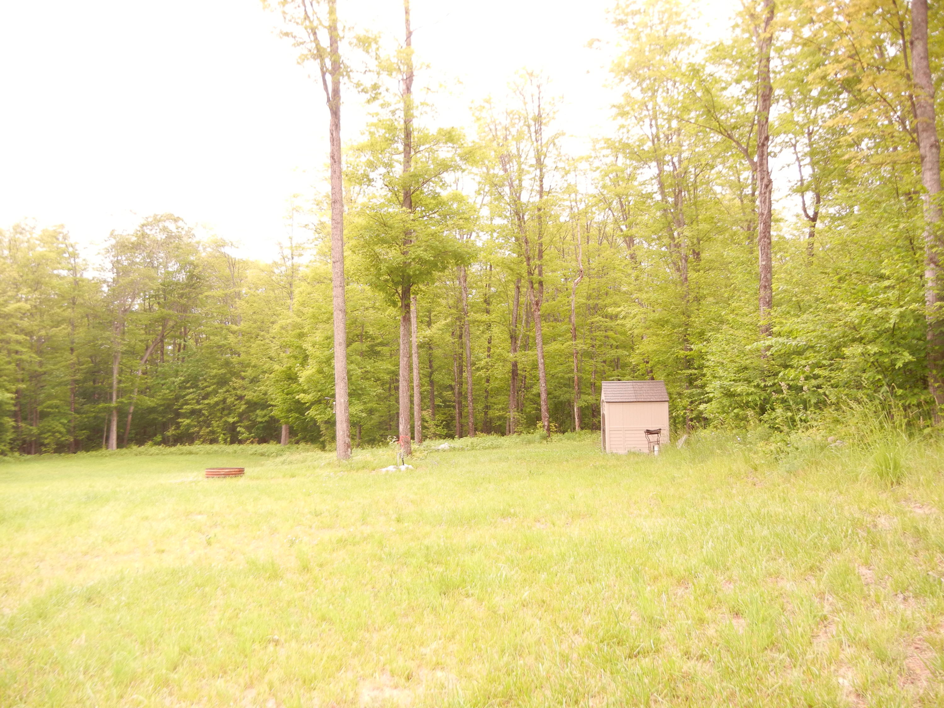 5529 Saint Ignace Road Hessel, MI 49745 - Photo 5 of 6 Gallery Image 5