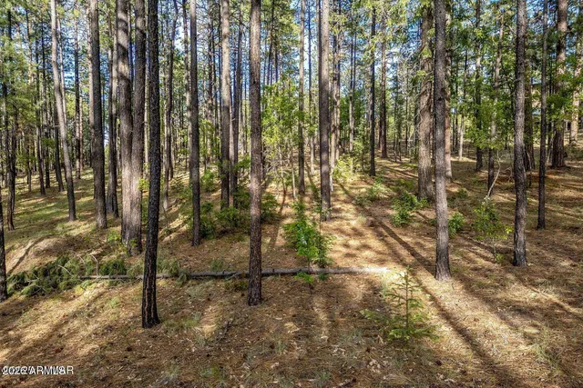 $185,000 | 15 County Road 2083, Unit 10, Alpine, AZ 85920