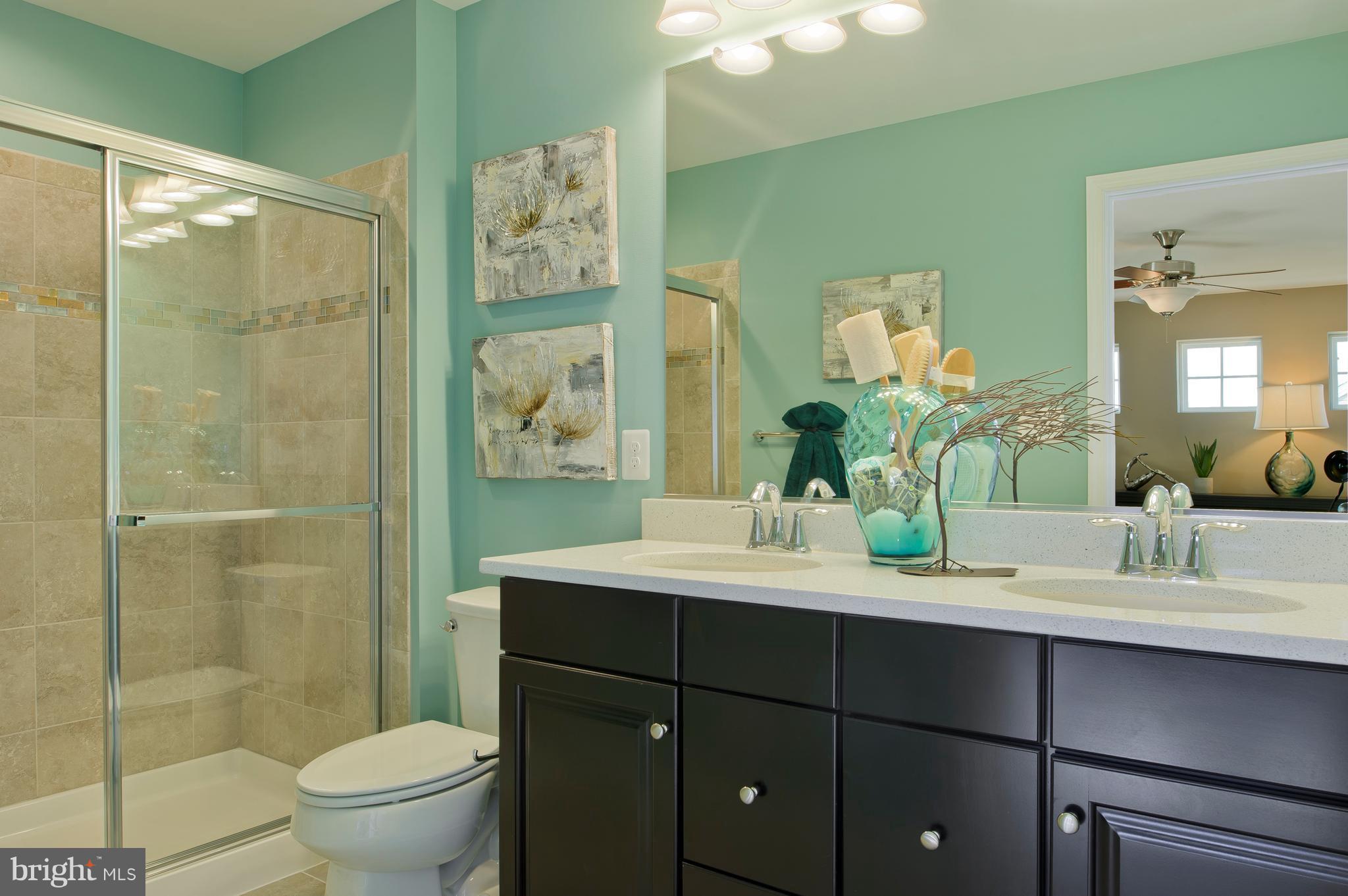 987 Morgan Run Road Baltimore, MD 21220 - Photo 9 of 20 Photo of Model Home Master Bath