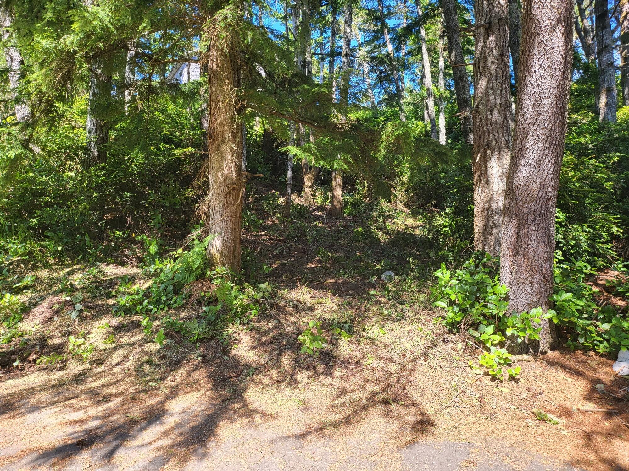 Lot 1 Netarts Street Tillamook, OR 97141 - Photo 3 of 14 Netarts Rd 5