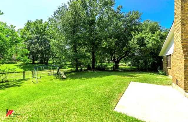 a view of a park with plants and trees