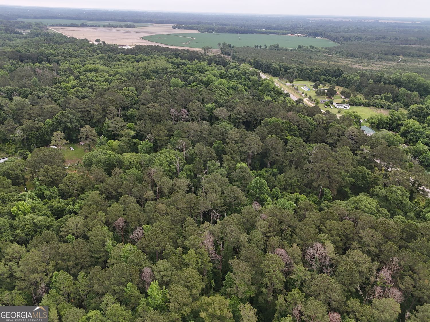 0 State Rte 49 Oglethorpe, GA 31068 - Photo 6 of 8 an aerial view of forest