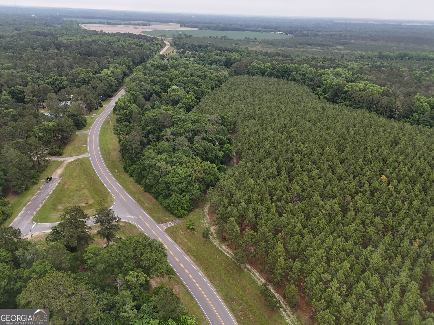 0 State Rte 49 Oglethorpe, GA 31068 - Photo 7 of 8 a view of a forest from a balcony