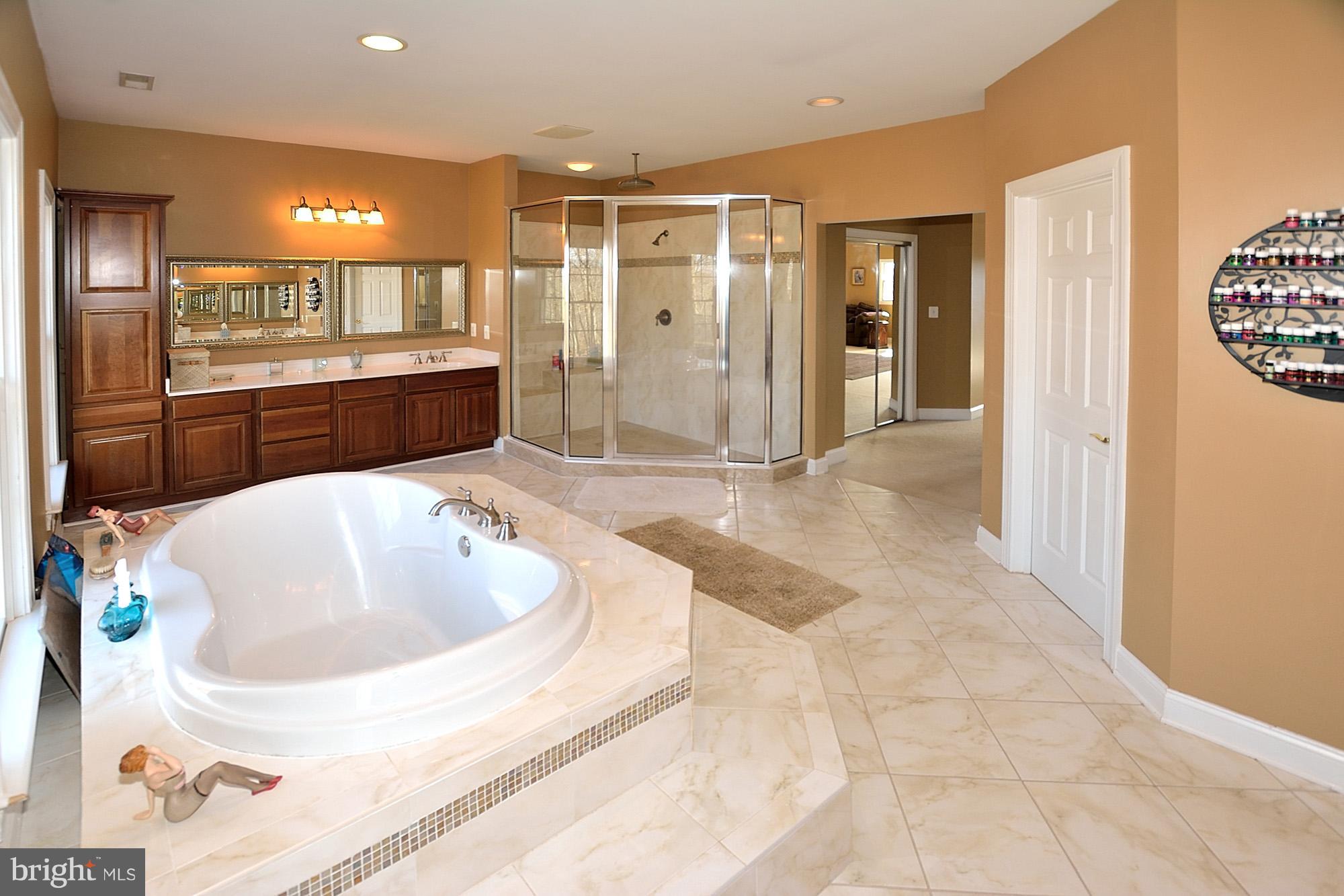7929 River Mill Road Marshall, VA 20115 - Photo 20 of 30 Bath (Master)