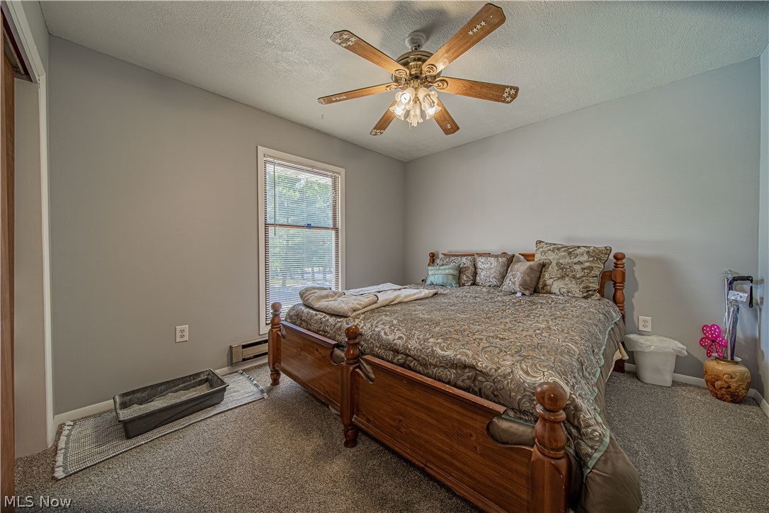 1009 State Line Road Pierpont, OH 44082 - Photo 25 of 35 Gallery Image 25