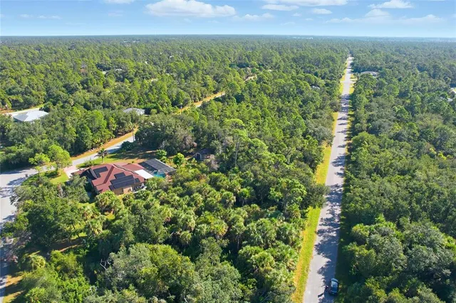 a view of a city with lush green forest