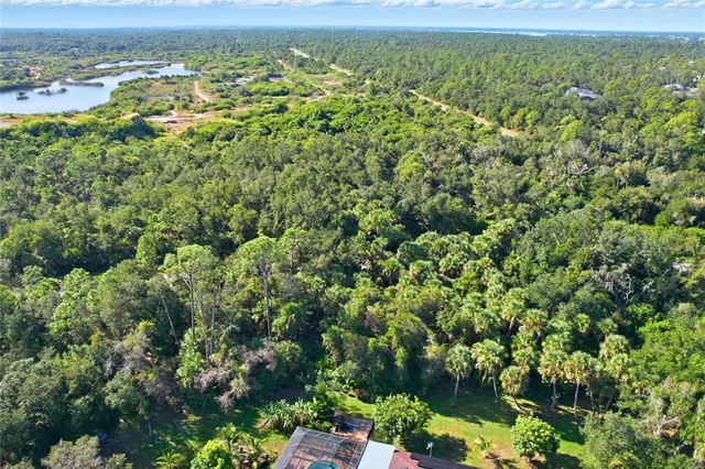 an aerial view of residential houses with outdoor space and trees